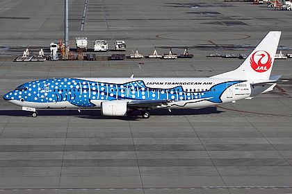 EVERRISE 1/100 JTA 737-400 【BJQ1156】 EVERRISE 1/100 JTA 737-400