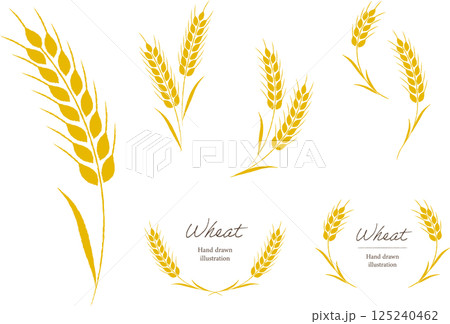 麦のイラスト素材(28,767点以上の高品質なイラスト素材) - PIXTA