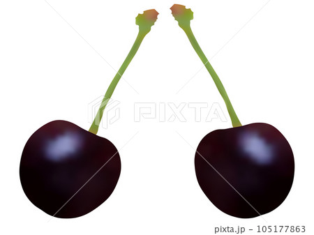 アメリカンチェリー イラスト フルーツ デザートのイラスト素材 - PIXTA