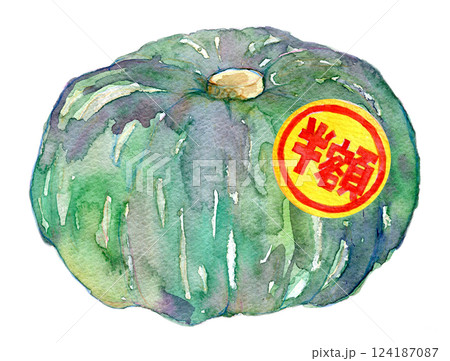 南瓜 かぼちゃ 水彩画 野菜の写真素材 - PIXTA