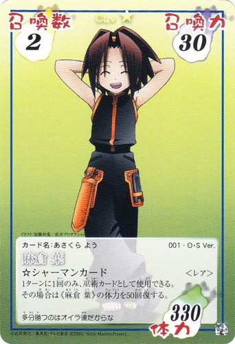 カード種類「シャーマン」(17 枚)｜シャーマンキング 超・占事略決