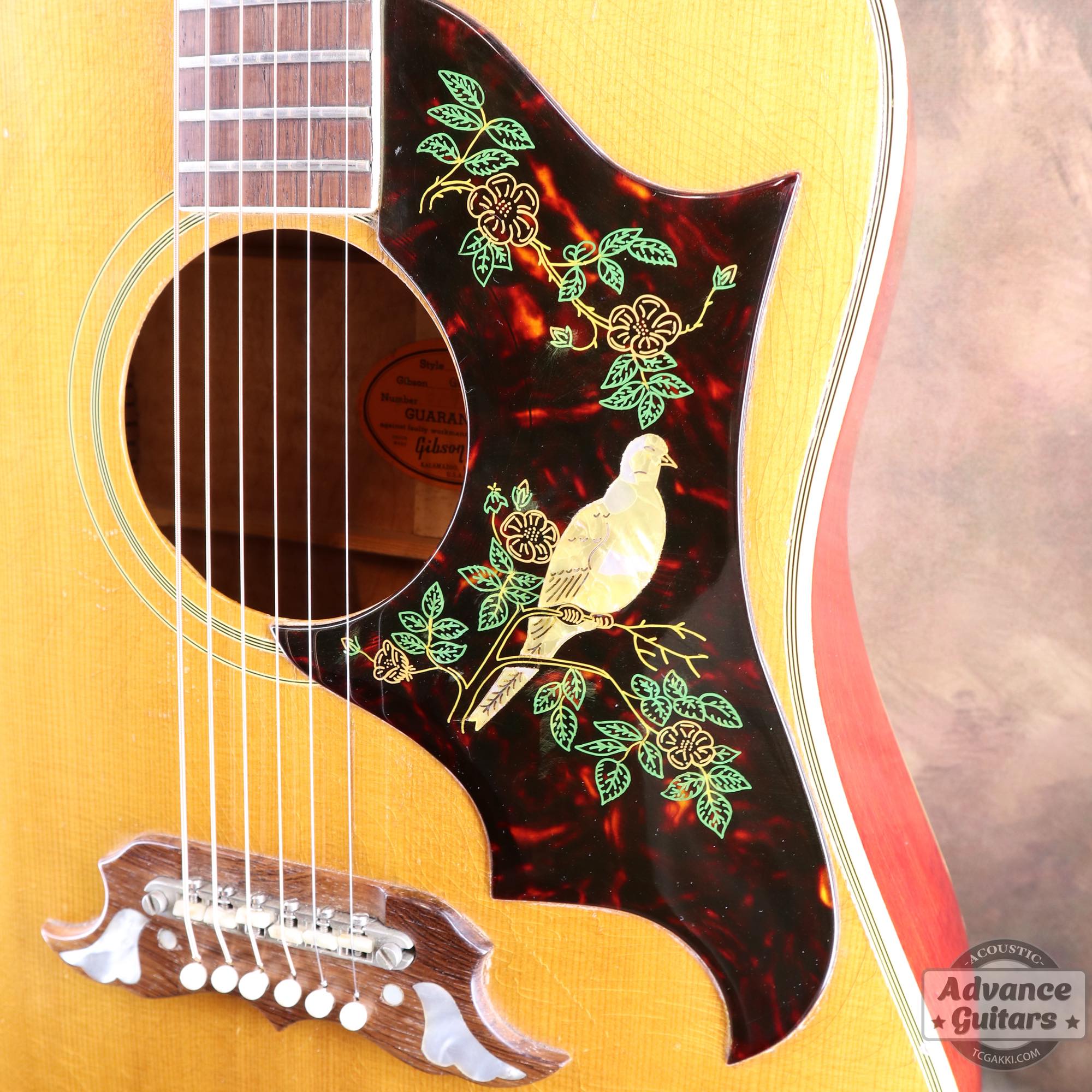 1964年製 Dove Natural