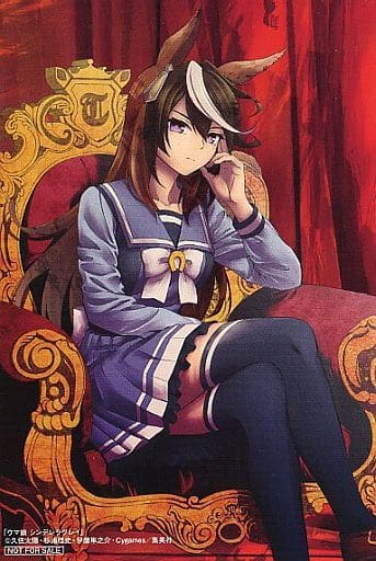 Collectible Cards/Card]Illustration card - Uma Musume: Pretty