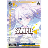 Weiss Schwarz/Project SEKAI COLORFUL STAGE! feat. Hatsune Miku