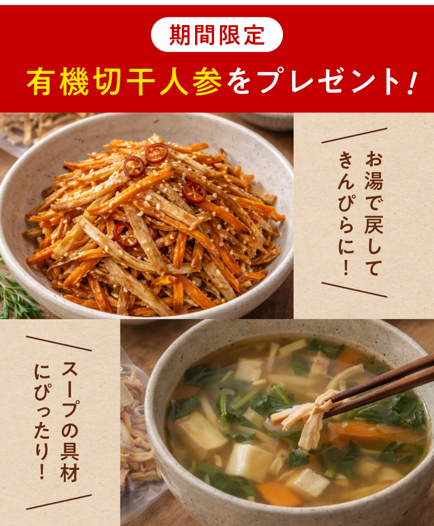 九州野菜セット13品 | タマチャンショップ 公式オンラインストア