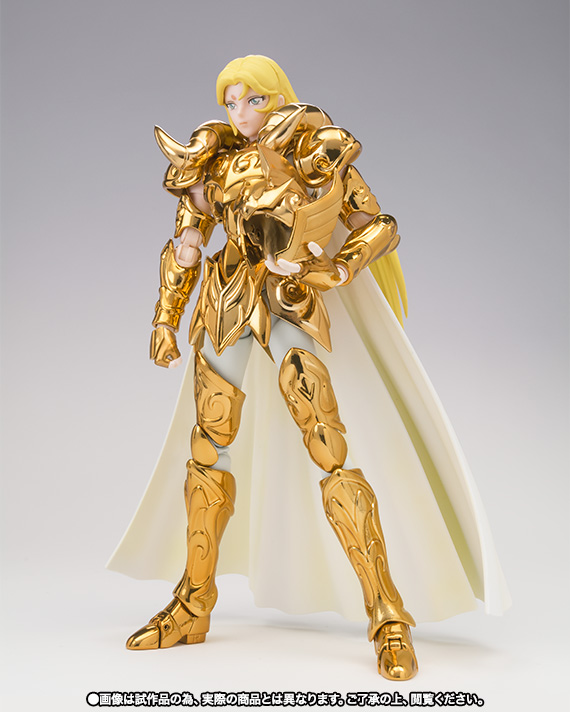 TAMASHII NATION 2015(魂ネイション2015) 開催記念商品 聖闘士聖衣神話
