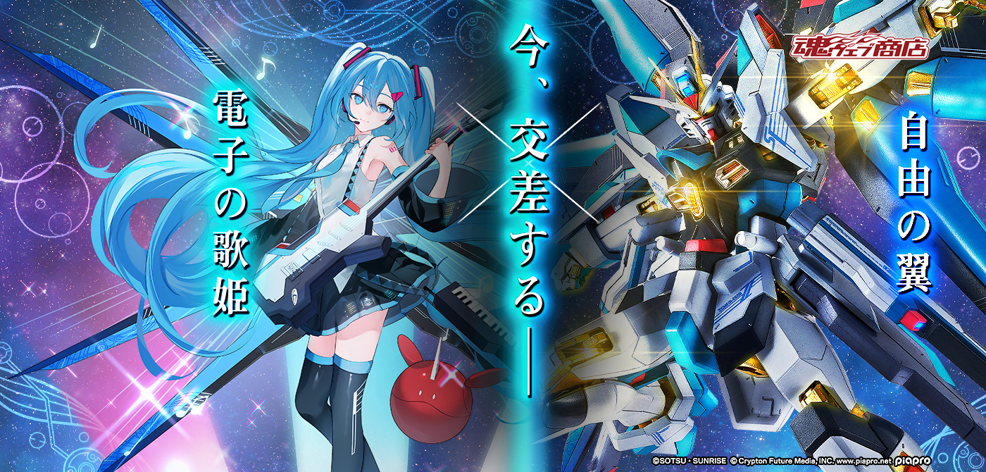 METAL ROBOT魂 【抽選販売】＜SIDE MS＞ ストライクフリーダムガンダム