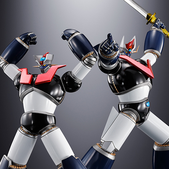 METAL BUILD デスティニーガンダム（フルパッケージ） [METAL BUILD