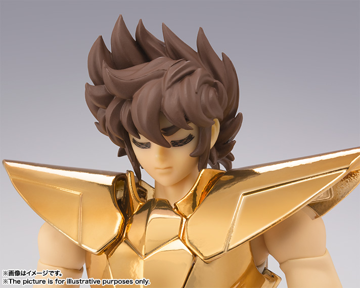 SAINT CLOTH MYTH EX Pegasus Seiya (New Bronze Cloth) ~ Masami