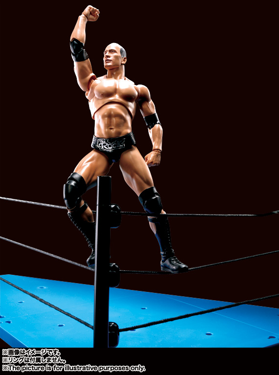 S.H.Figuarts The Rock | 魂ウェブ