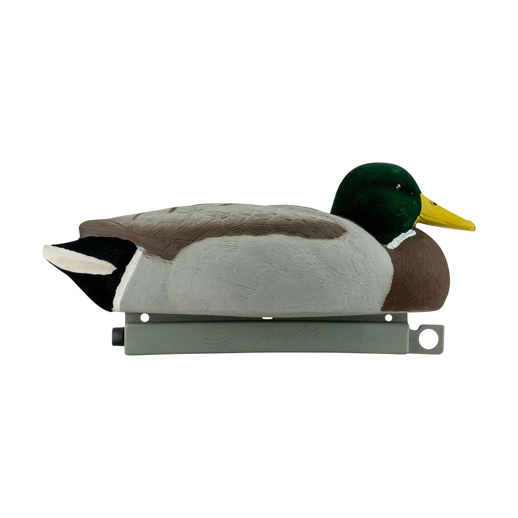 Migration Mallard Combo 6-Pack - Flocked Head & Tail – Tanglefree Shop
