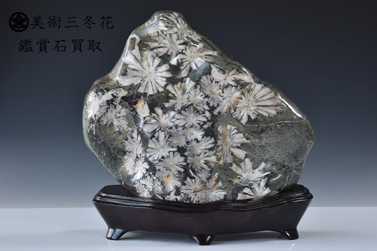 鑑賞石、菊花石買取 | 骨董品の買取品目 | 骨董品・美術品の買取なら