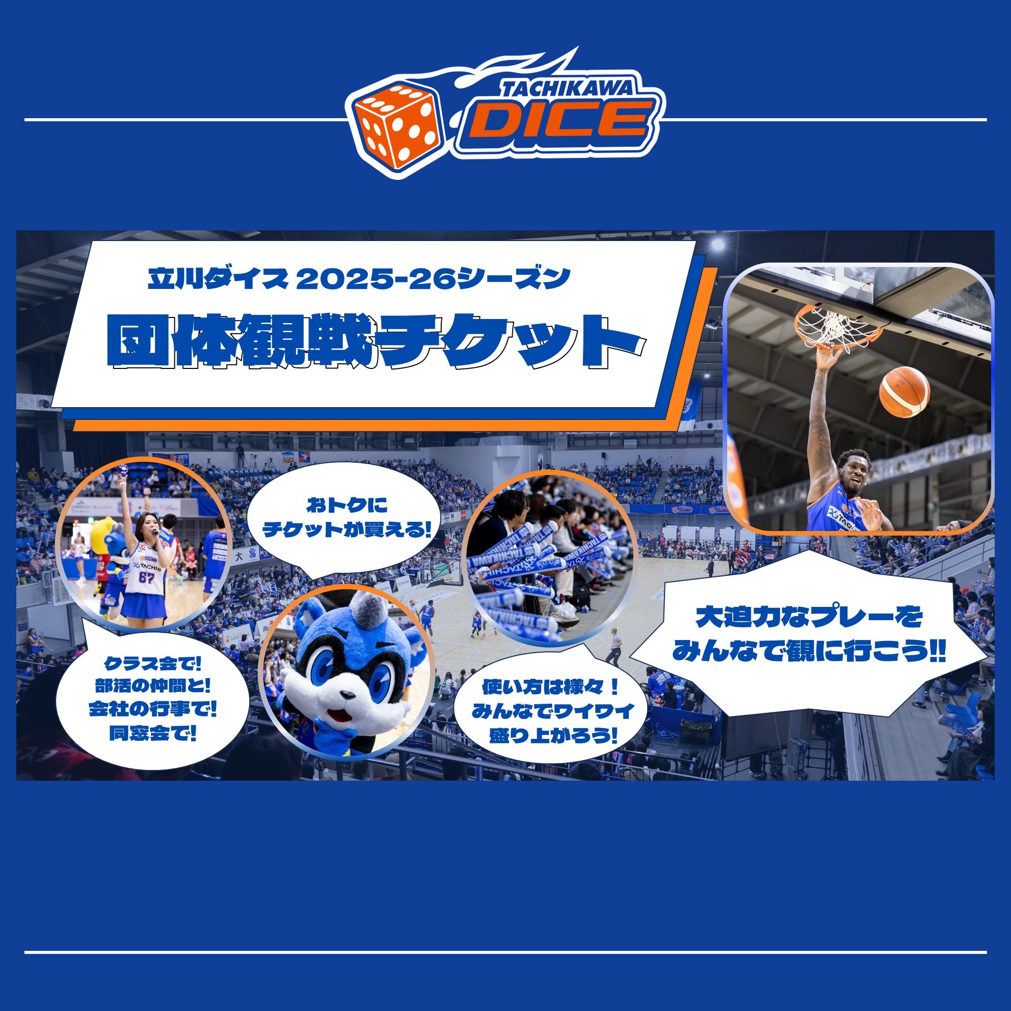 2025-26シーズン 団体観戦チケット開始のお知らせ | 立川ダイス公式サイト