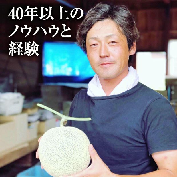 Kazu-K さま専用出品 スイングルシトロメロ種子、苗 Kazu-K さま専用