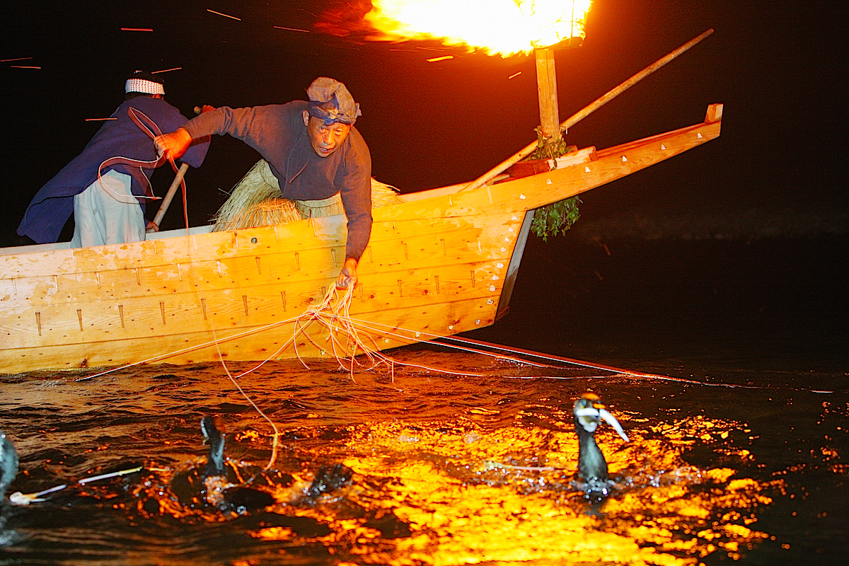 鵜飼いの楽しみ方教えます】長良川鵜飼が5月11日に始まるぞ | ニッポン