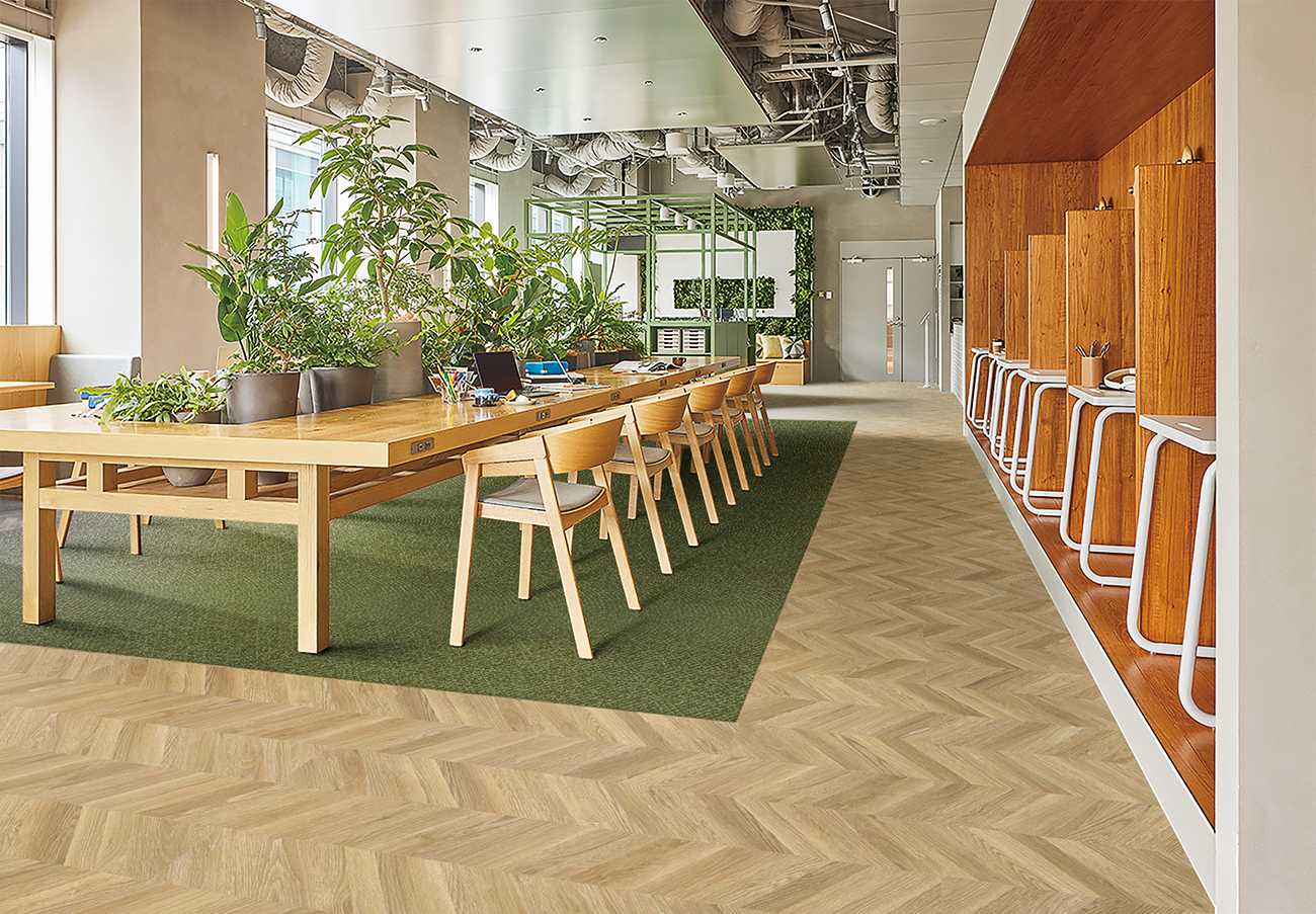 ペディグラス ニューパワーフリースタイル R10個L10個ブラシ20個