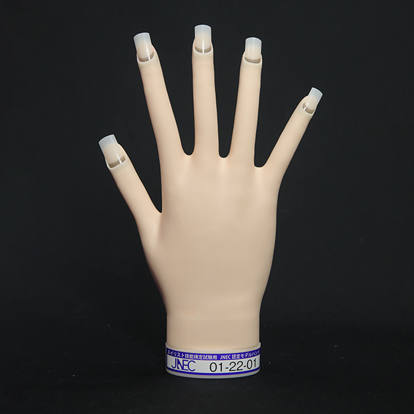 認定モデルハンド(骨折なし) ST認定モデルハンド/骨折なし ▽STモデル