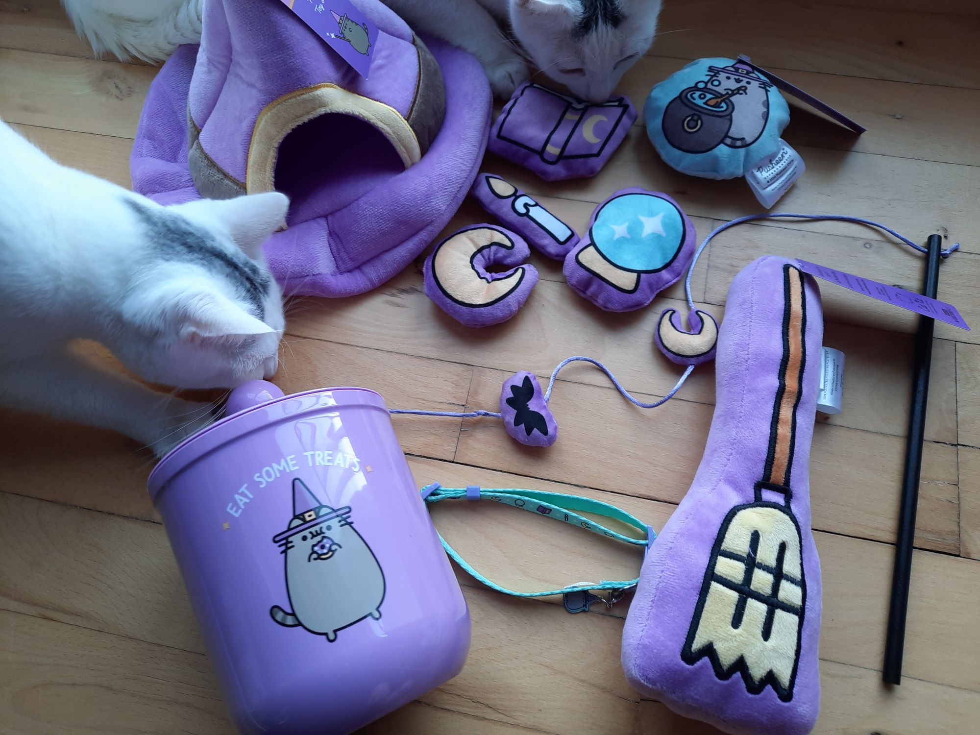 Fall 2024 Pusheen Box and Cat Kit Review - Tales of Belle