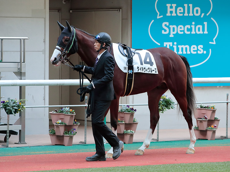 タイキヴィグルーズ | 大樹レーシングクラブ公式サイト