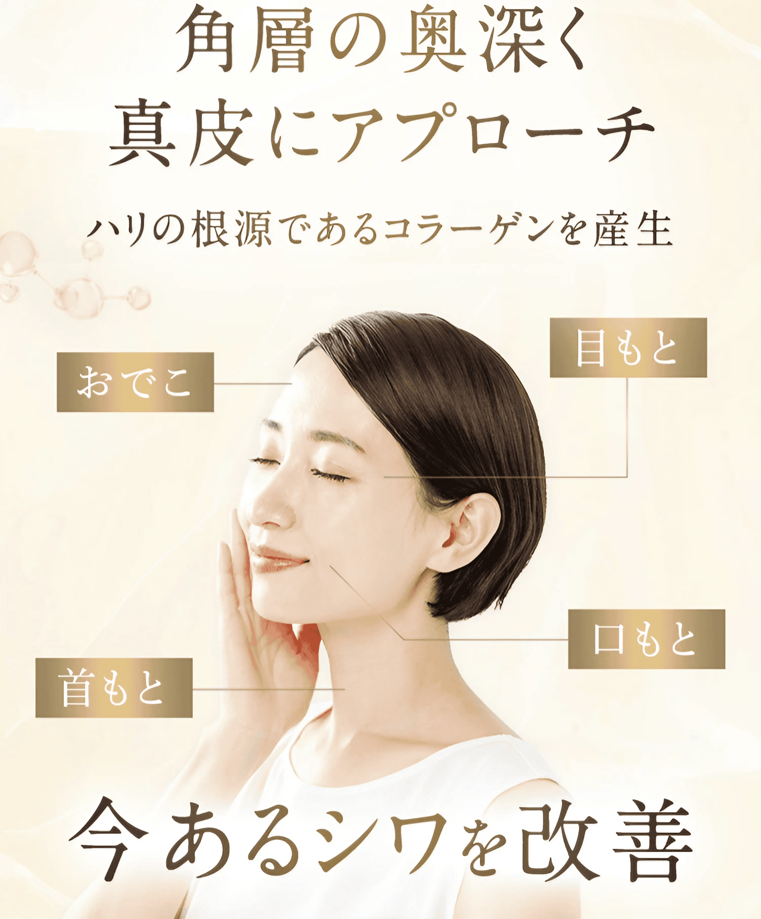 セット定期】ザ マイトル エッセンス ＜レフィル＞2本セット(30mL×2本