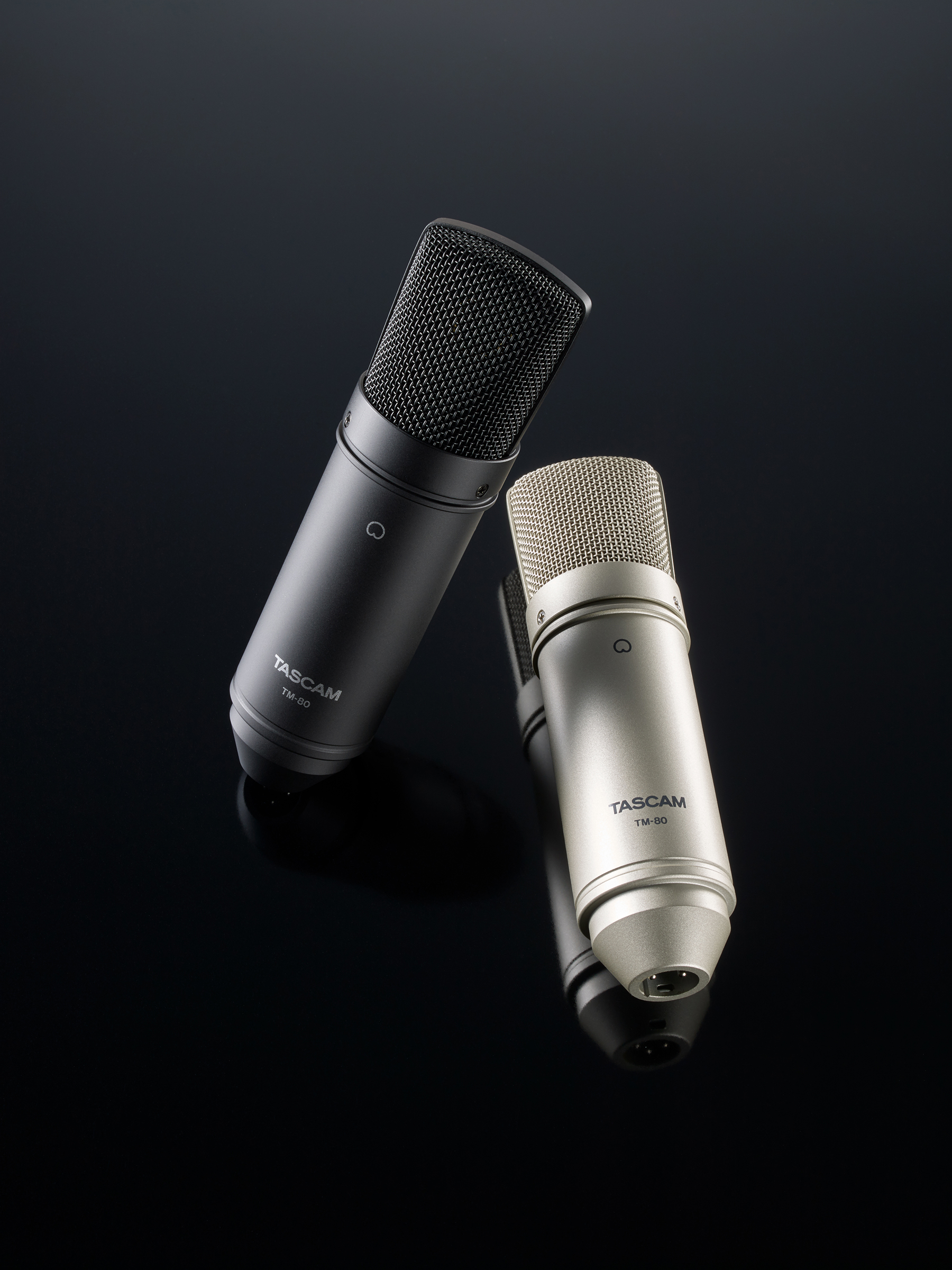 TM-80 | コンデンサーマイクロホン | TASCAM (日本)