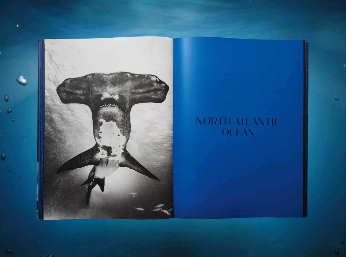 Michael Muller. Sharks. TASCHEN Books. TASCHEN
