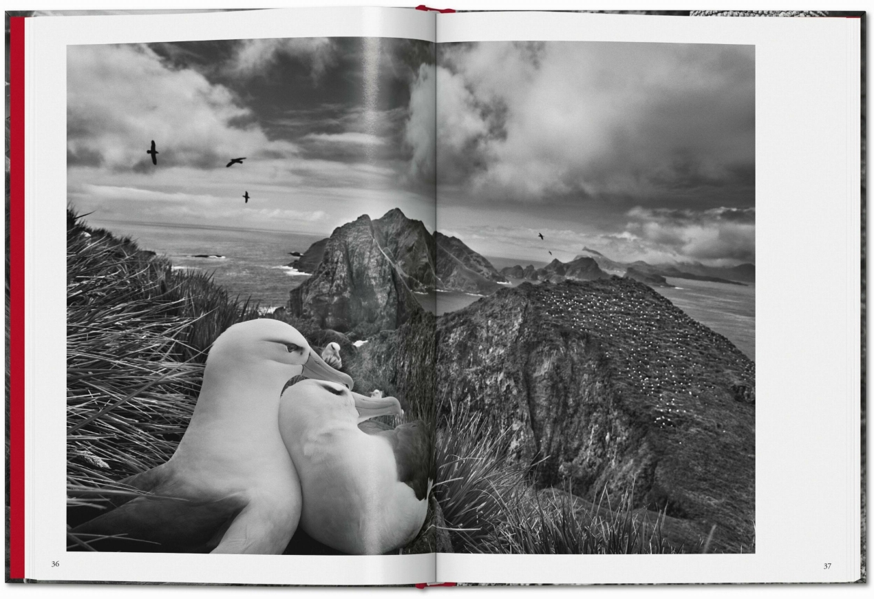 Sebastião Salgado. Genesis, pocket-sized. TASCHEN Books. TASCHEN