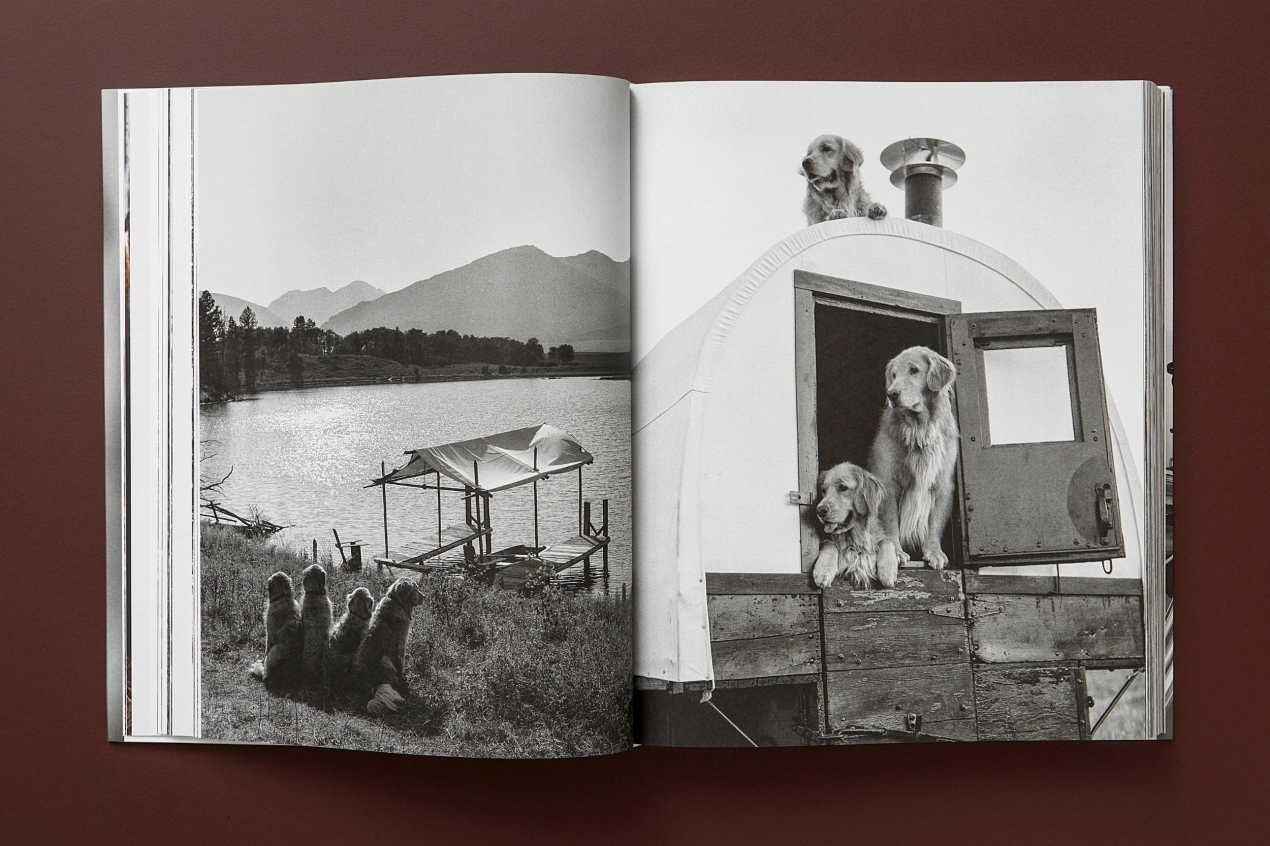 Bruce Weber. The Golden Retriever Photographic Society. Art