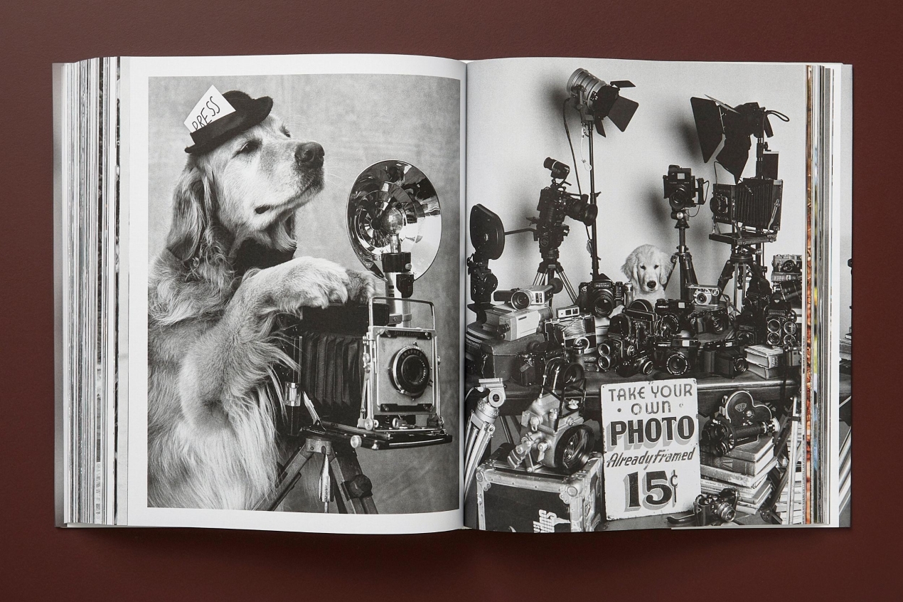 Bruce Weber. The Golden Retriever Photographic Society. Art