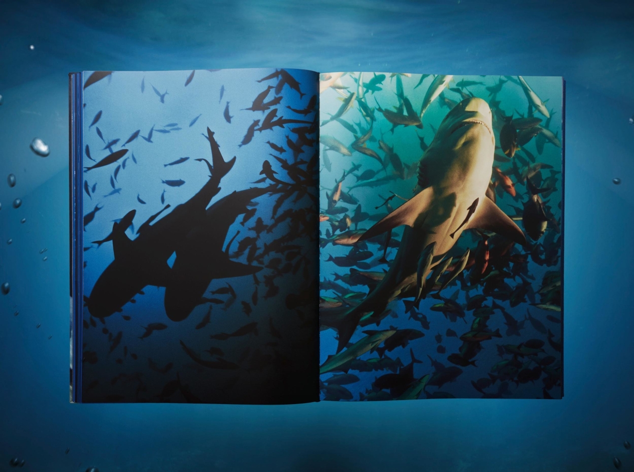 Michael Muller. Sharks, Art Edition No. 1–100 'Tear You Apart