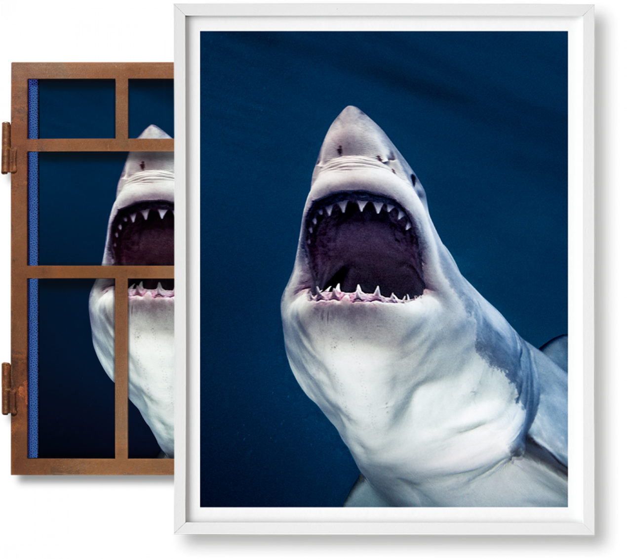 Michael Muller. Sharks, Art Edition No. 1–100 'Tear You Apart