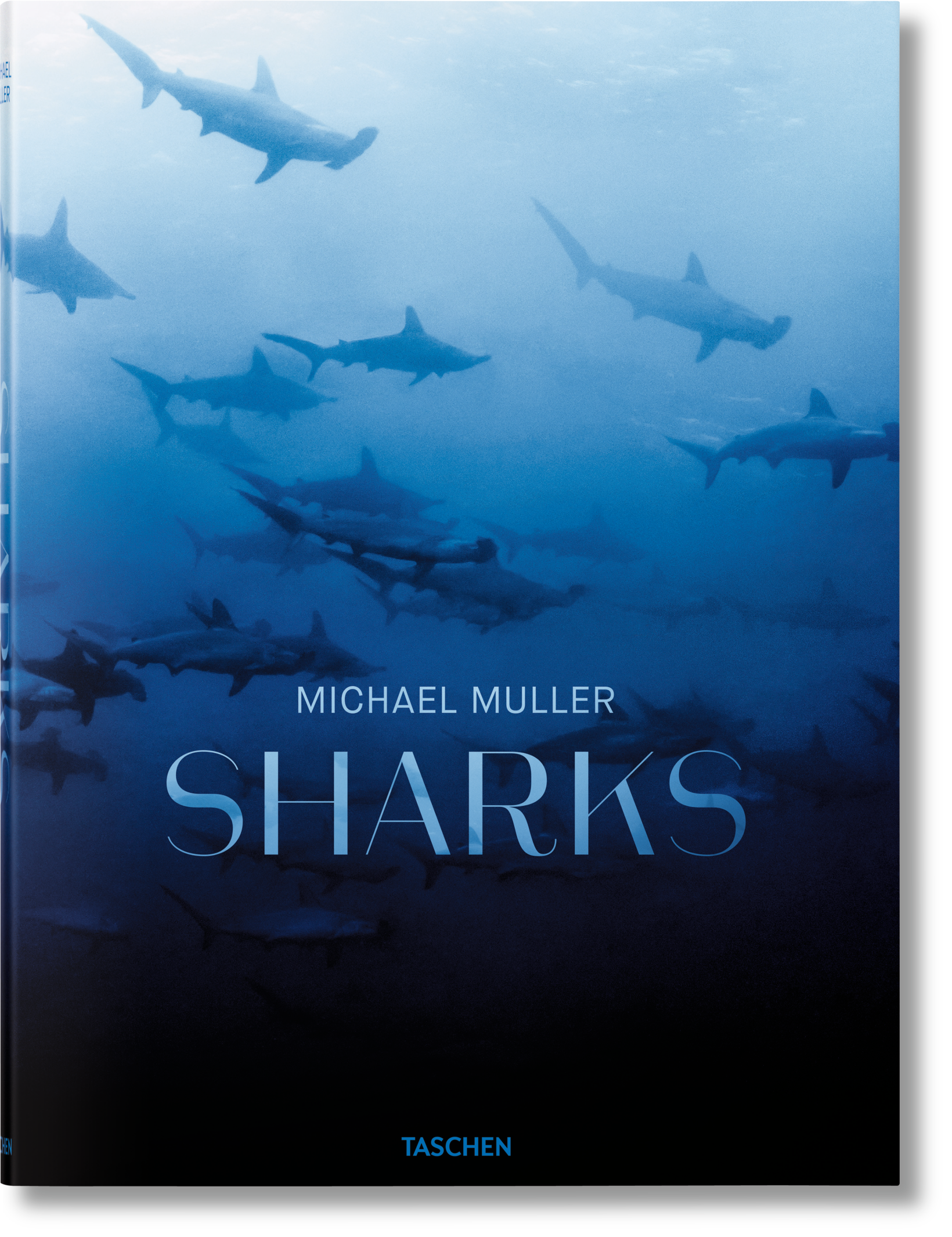 Michael Muller. Sharks. Face-to-Face with the Ocean's Endangered