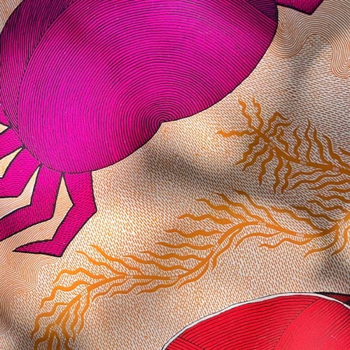 Waterlife - Tara Books