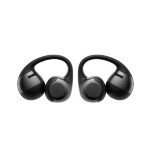 Shokz OpenDots ONE True Wireless Earbuds : Target