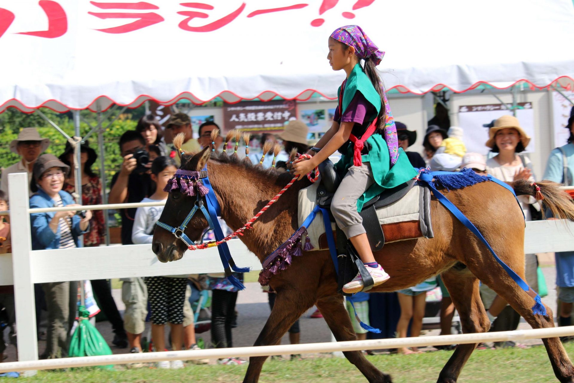 第9回 沖縄県沖縄市・琉球競馬 ンマハラシー その4 - 一般財団法人