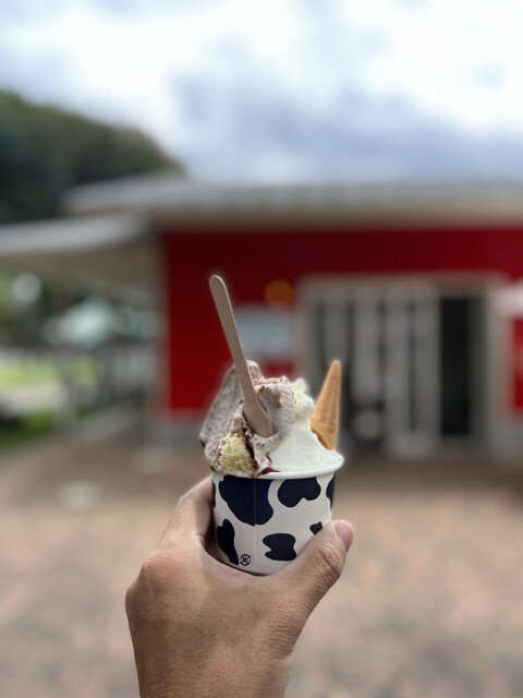 icecream factory PiPi （ピピ【旧店名】東京みるく工房 ピュア