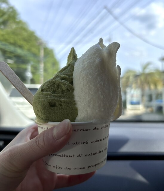 icecream factory PiPi （ピピ【旧店名】東京みるく工房 ピュア