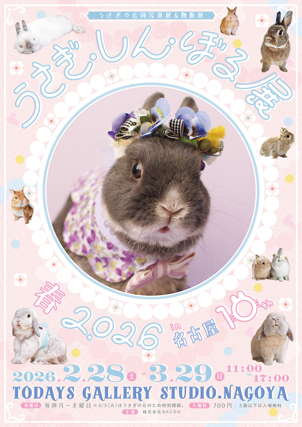 うさぎの合同写真展＆物販展「うさぎしんぼる展 2026」