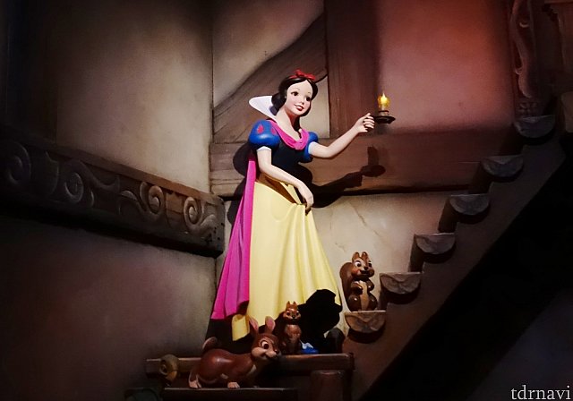 白雪姫のエンチャンテッド・ウィッシュ | ディズニーランド