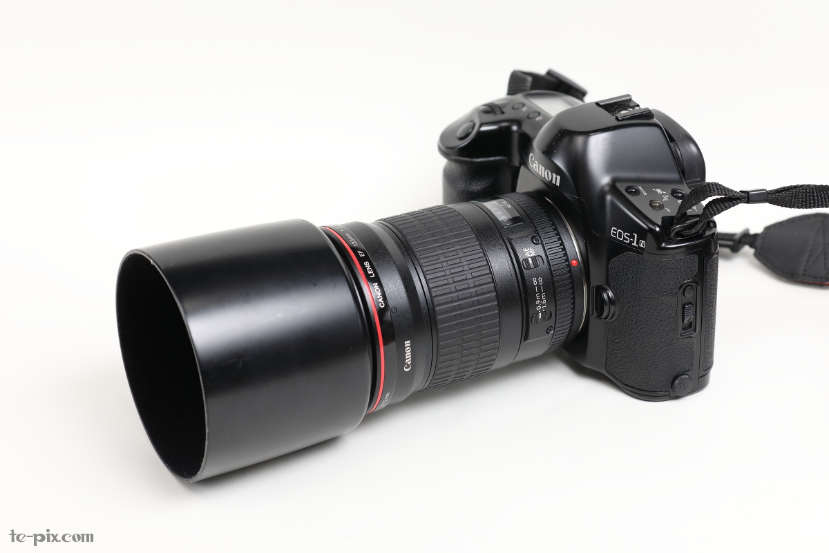 フィルム、ノスタルジック。（EOS-1Nの使い方） | てぴっくす