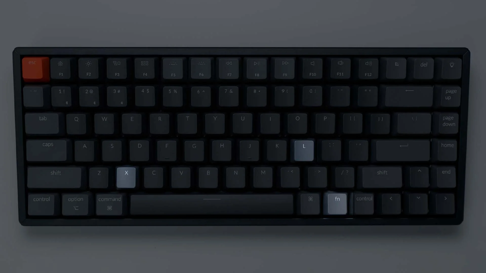 Keychron K2（赤軸）レビュー！デザイン性と打鍵感の良さが最高です