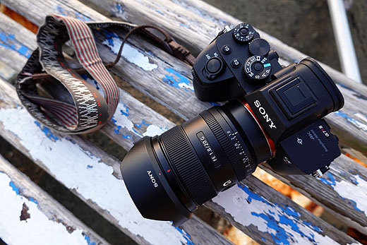 これを読めば全てわかる！】20mmの画角と開放F値1.8を併せ持つ小型