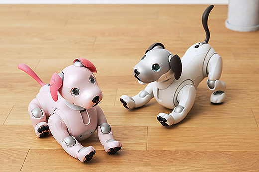 aiboの誕生から5年！ 2023年ニューカラーモデル『aibo エスプレッソ