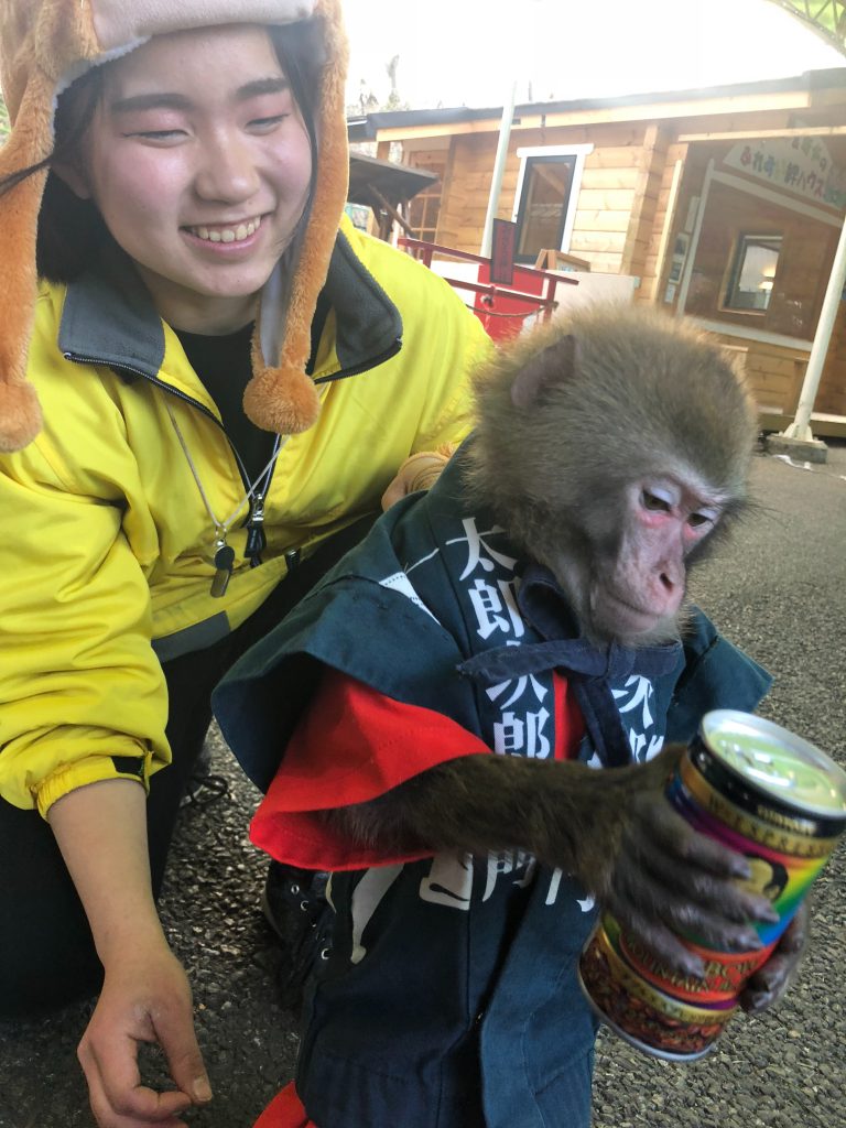 お猿さんの写真に、、、、、 | おさるランド［日光さる軍団］