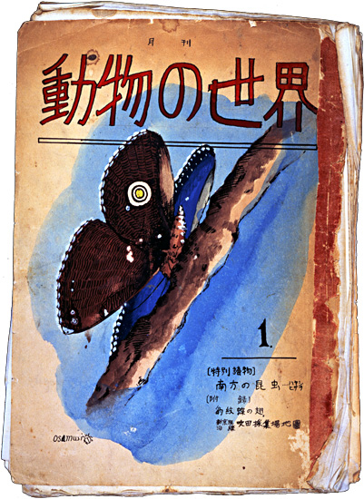 常設展1 「宝塚と手塚治虫」 2｜常設展｜手塚治虫記念館｜手塚治虫