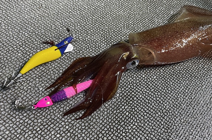 イカメタルの鉛スッテ・ドロッパーの基本的な選び方と釣れるおすすめ