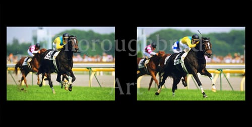 ウオッカ2007日本ダービー優勝記念写真集 | サラブレッドアート