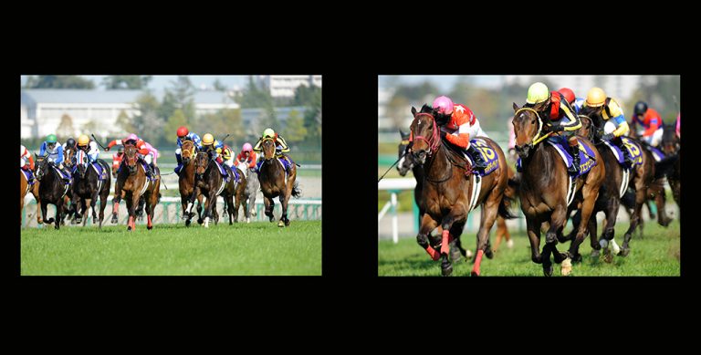 ブエナビスタ2009桜花賞優勝記念プレミアム写真集 | サラブレッドアート