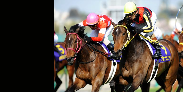 ブエナビスタ2009桜花賞優勝記念プレミアム写真集 | サラブレッドアート