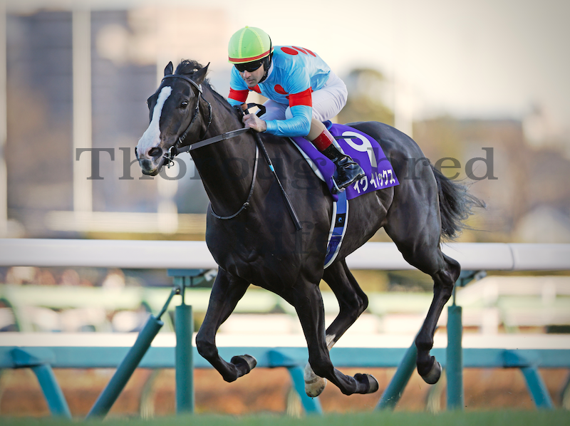 引退・G1優勝記念○インテリアパネル○ イクイノックス | サラブレッド